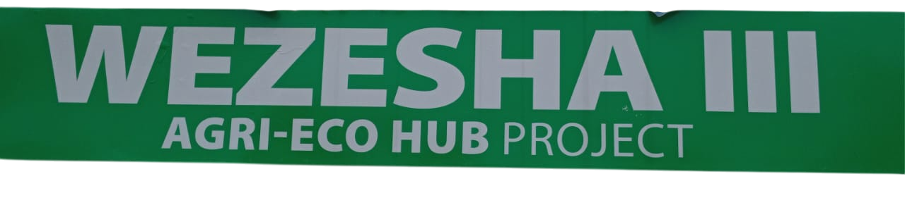 Wezesha Logo